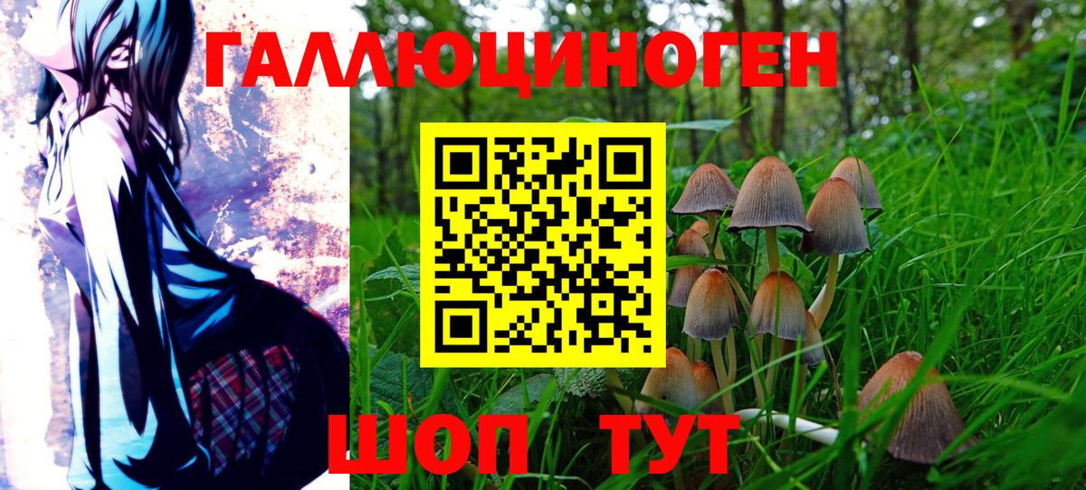 Галлюциногенные грибы MAGIC MUSHROOMS Кисловодск
