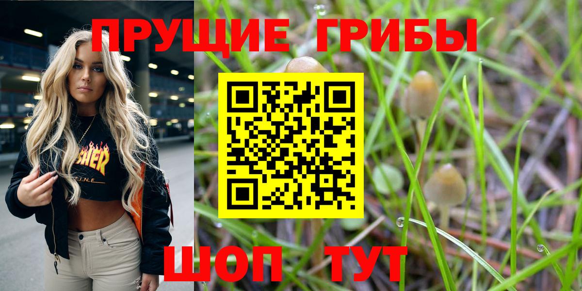 Псилоцибиновые грибы Magic Shrooms  Вход с VPN  Псилоцибиновые грибы Cubensis  Кисловодск 